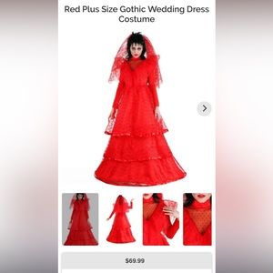 Lydia deetz costume size 3x